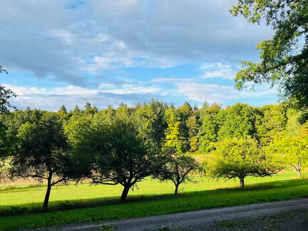 22-09-10 18-10-44 1982